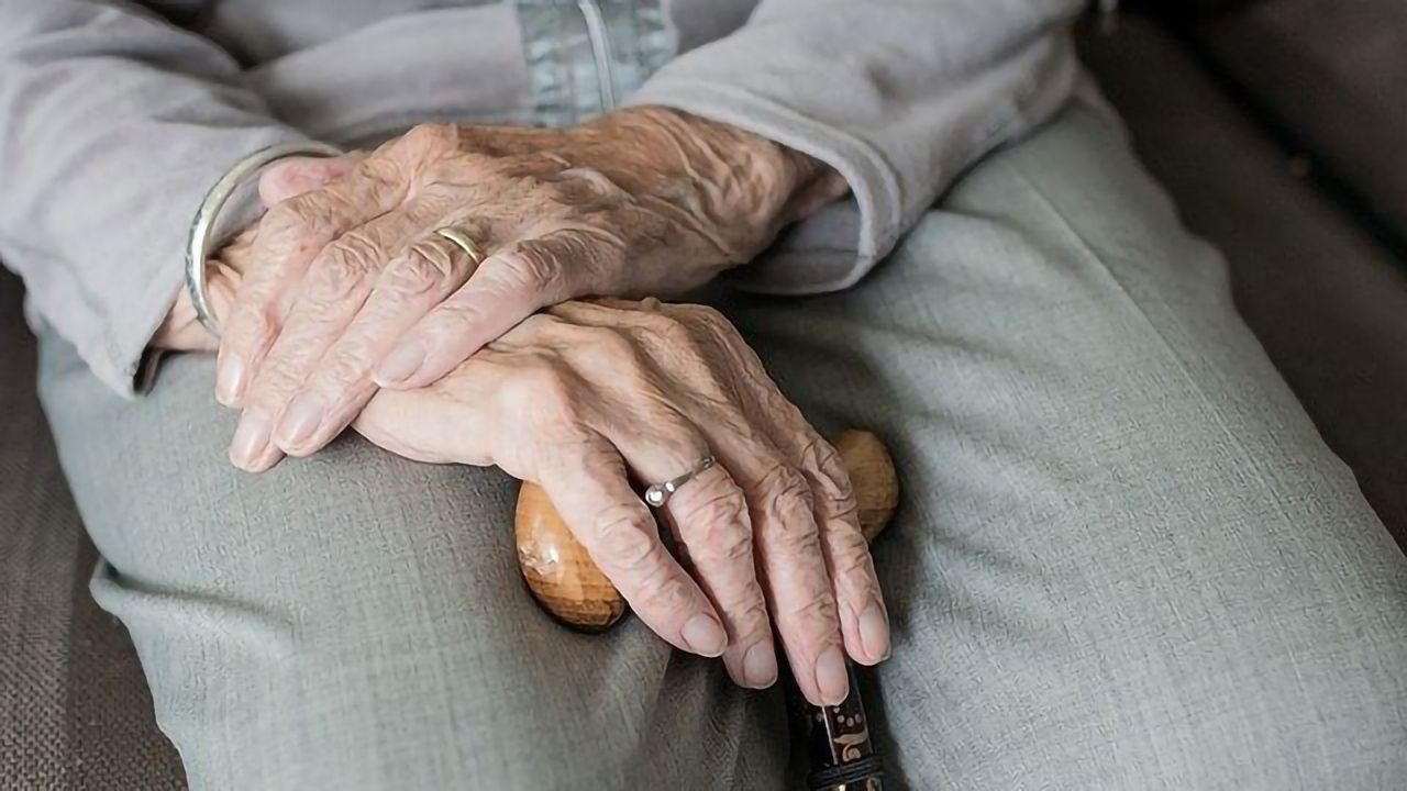 Sequence of "Junk" DNA Could Play a Role in Aging and Cancer