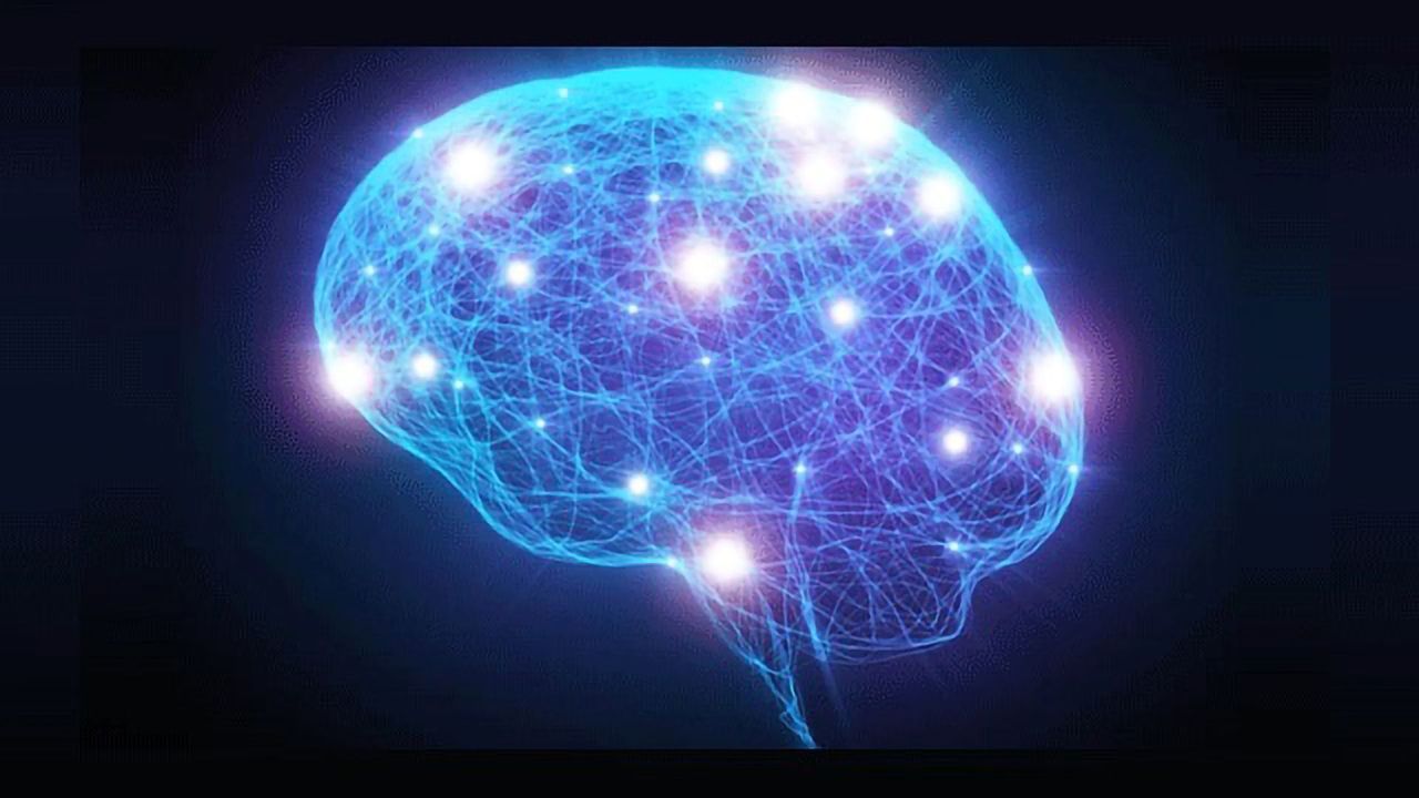 Discovery of Repair Process in the Brain Could Lead to New Epilepsy Treatments