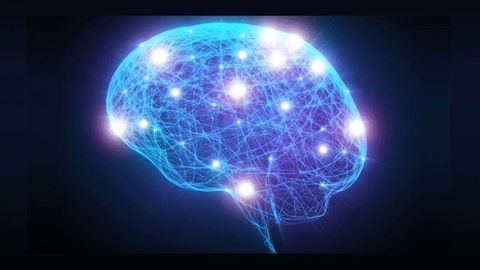 Discovery of Repair Process in the Brain Could Lead to New Epilepsy Treatments