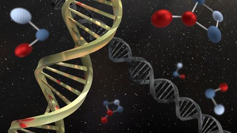 DNA-Binding Protein Plays a Role in Preventing Genome Instability