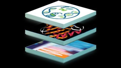 Paradigm4 Launches REVEAL: Multi-Omics App for Advanced Cross-Study Analyses