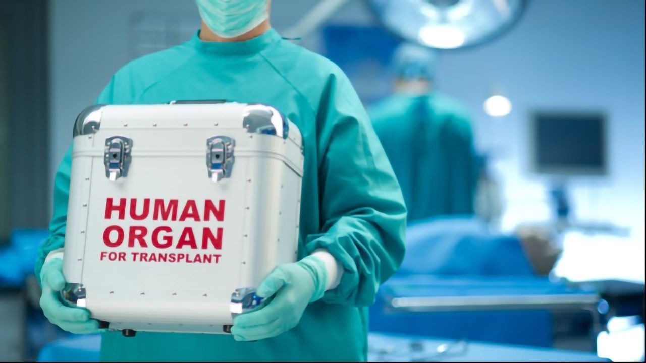 Natural Killer Cells Play a Key Role in Organ Rejection After Transplantation