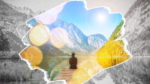 How the Brain Paints the Beauty of Nature