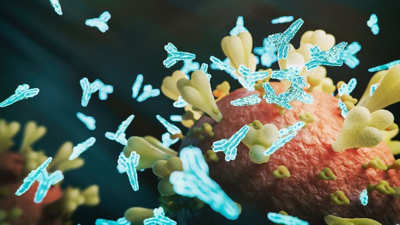Immunopeptidomics: Decoding Pathogen Peptides To Deliver More Potent Vaccines