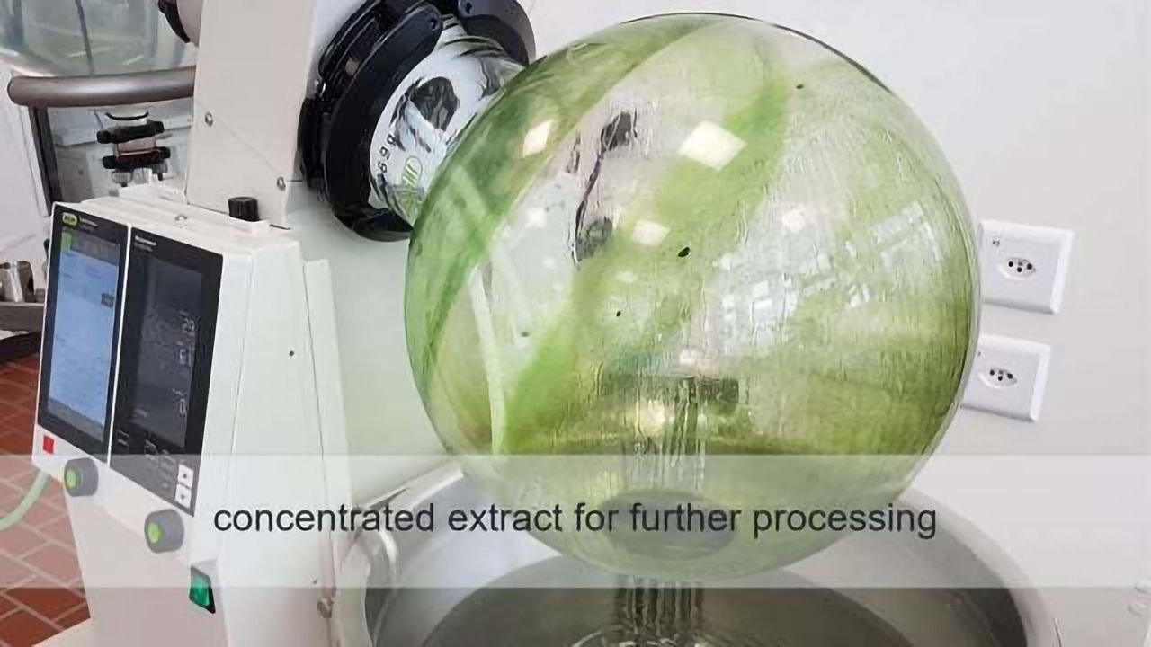 Using an Industrial Evaporator for Extraction Applications