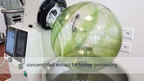 Using an Industrial Evaporator for Extraction Applications