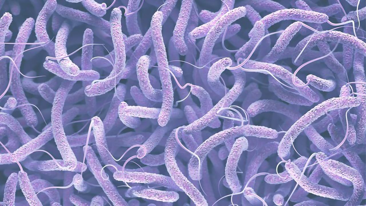 A Thermostable Needle-Free Vaccine for Cholera