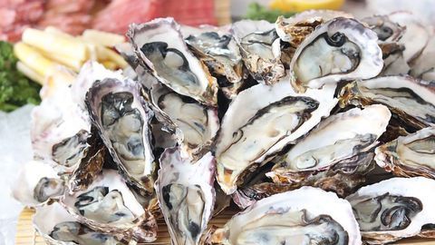 Plastic Accumulation in Foods May Be Underestimated