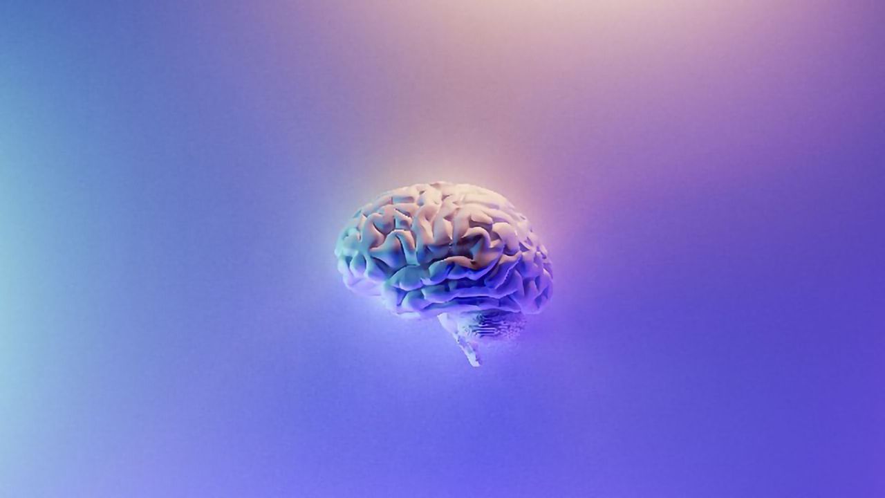 Bringing the Microscopic Details of the Brain Into Sharper Focus