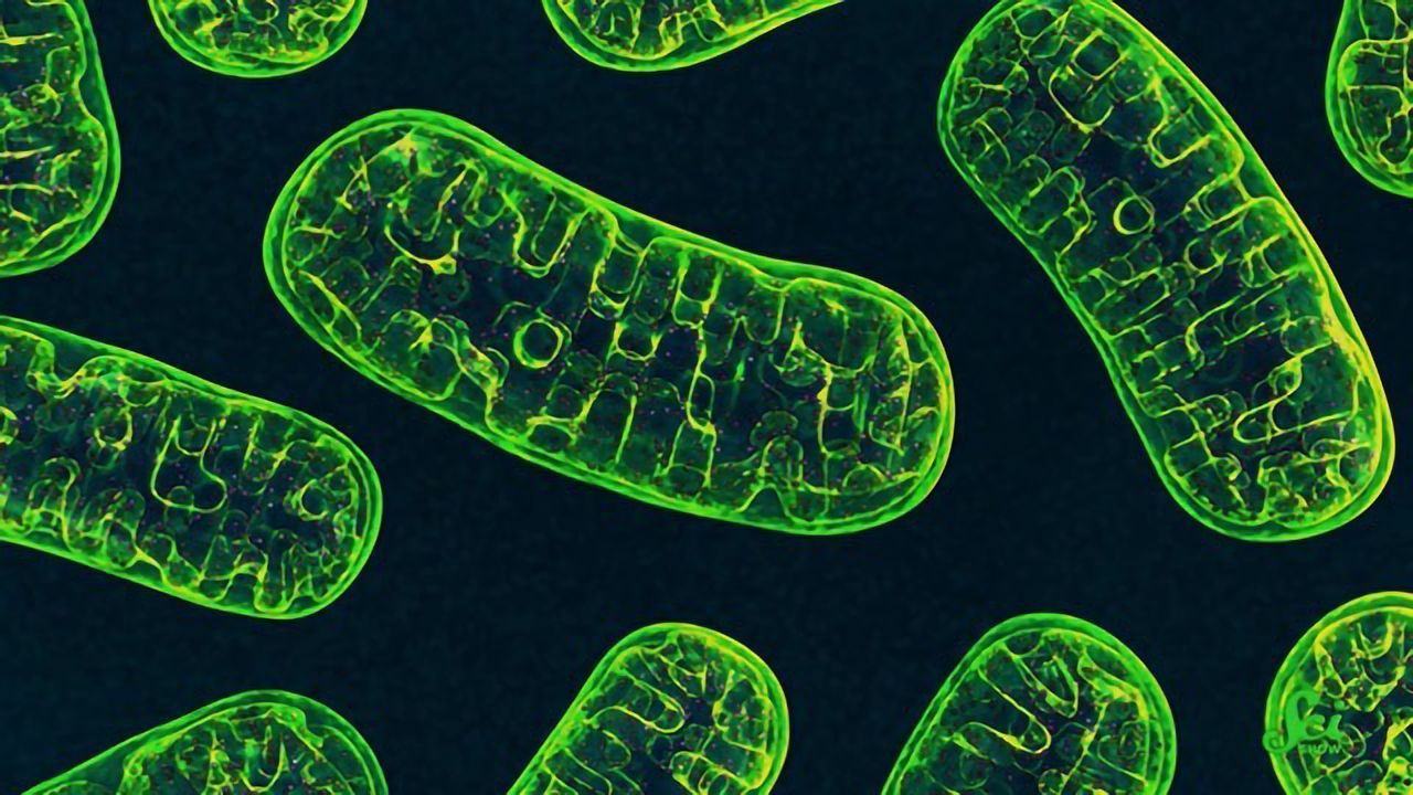 Parkinson’s Isn’t Inherited (Usually), but This Gene Matters