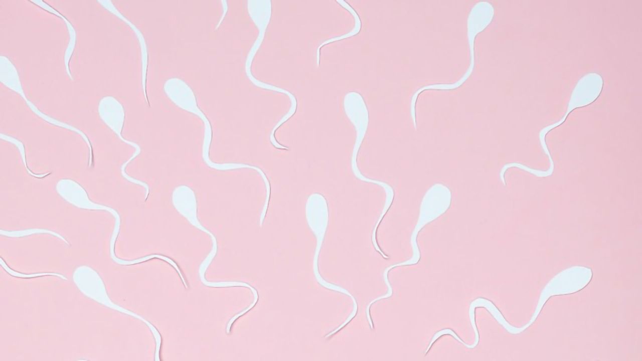 Designing a Reversible Male Contraceptive Targeted to the Testes