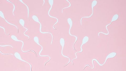 Designing a Reversible Male Contraceptive Targeted to the Testes