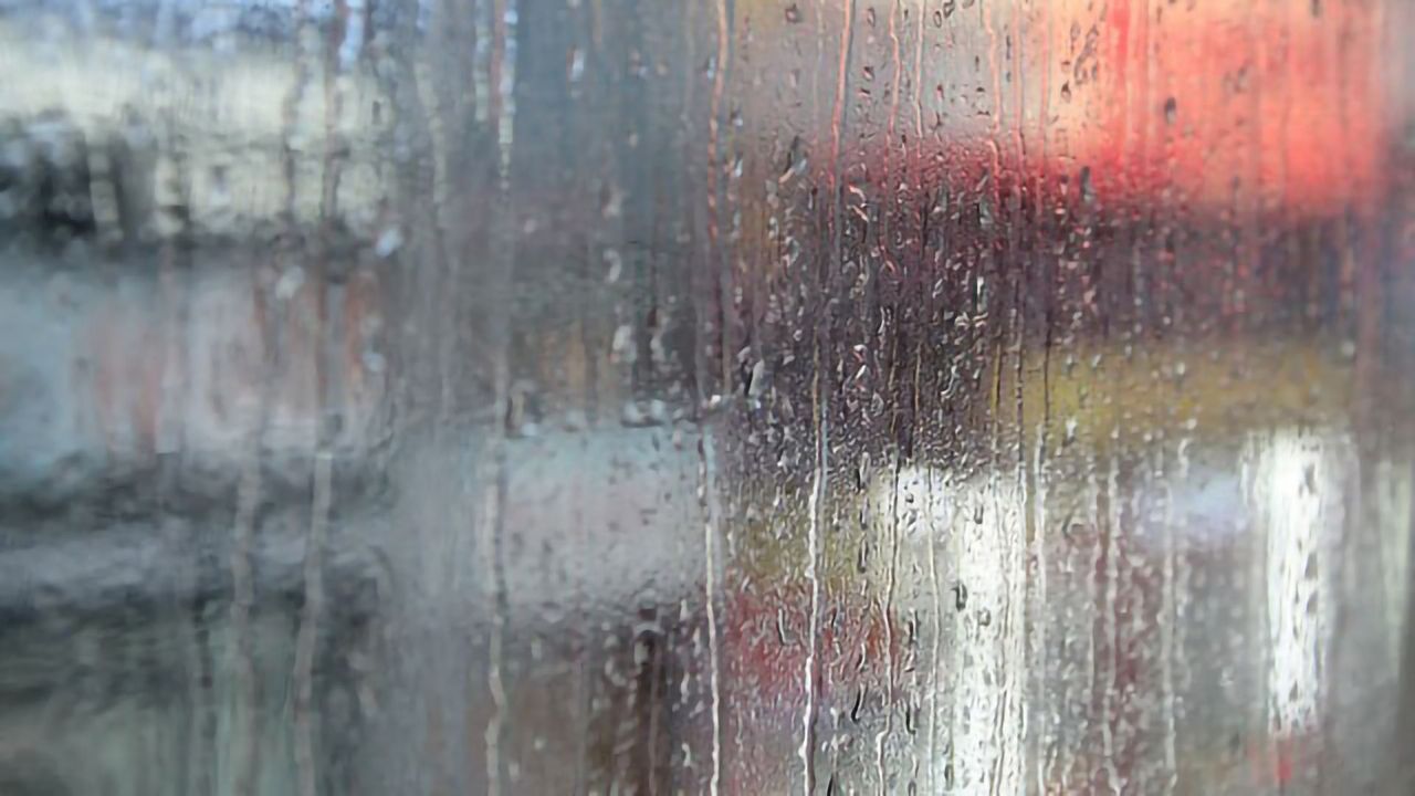 Rainfall Variability Will Be Enhanced by Global Warming