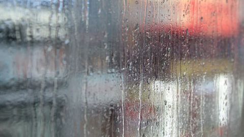 Rainfall Variability Will Be Enhanced by Global Warming