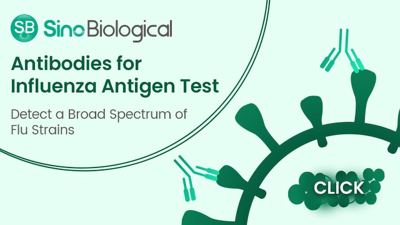 Antibodies for Influenza Antigen Test