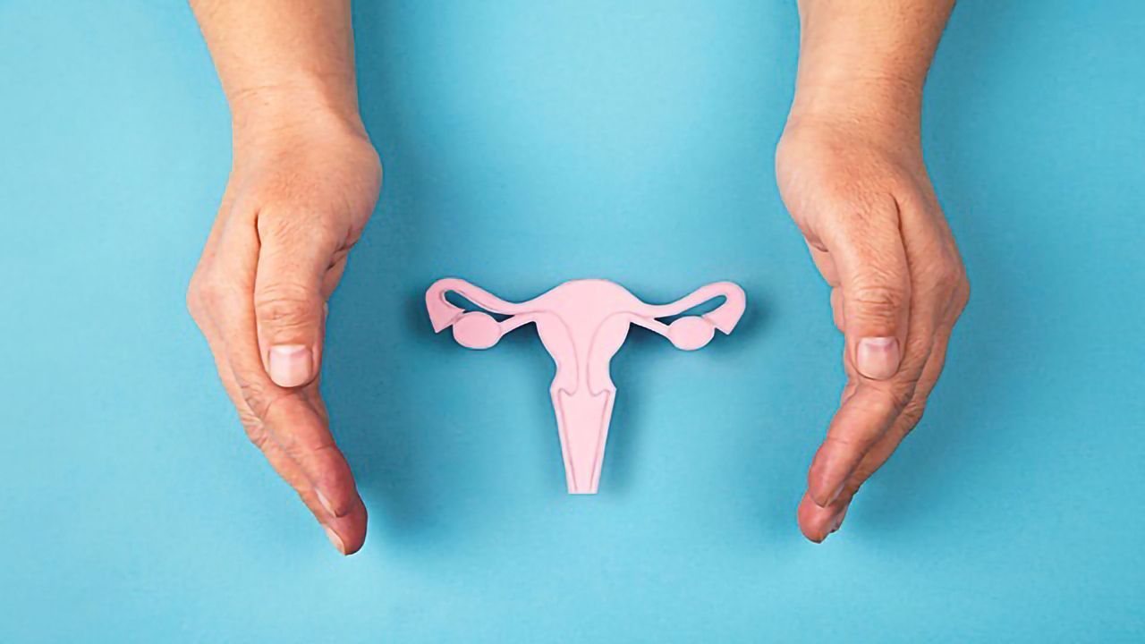 The Global Pandemic and Menstrual Cycles: What Do We Know?