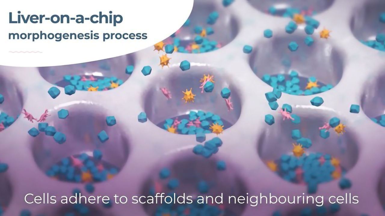 CN Bio Licenses Human Gut Microbiome Modelling Tool from MIT and Northeastern University