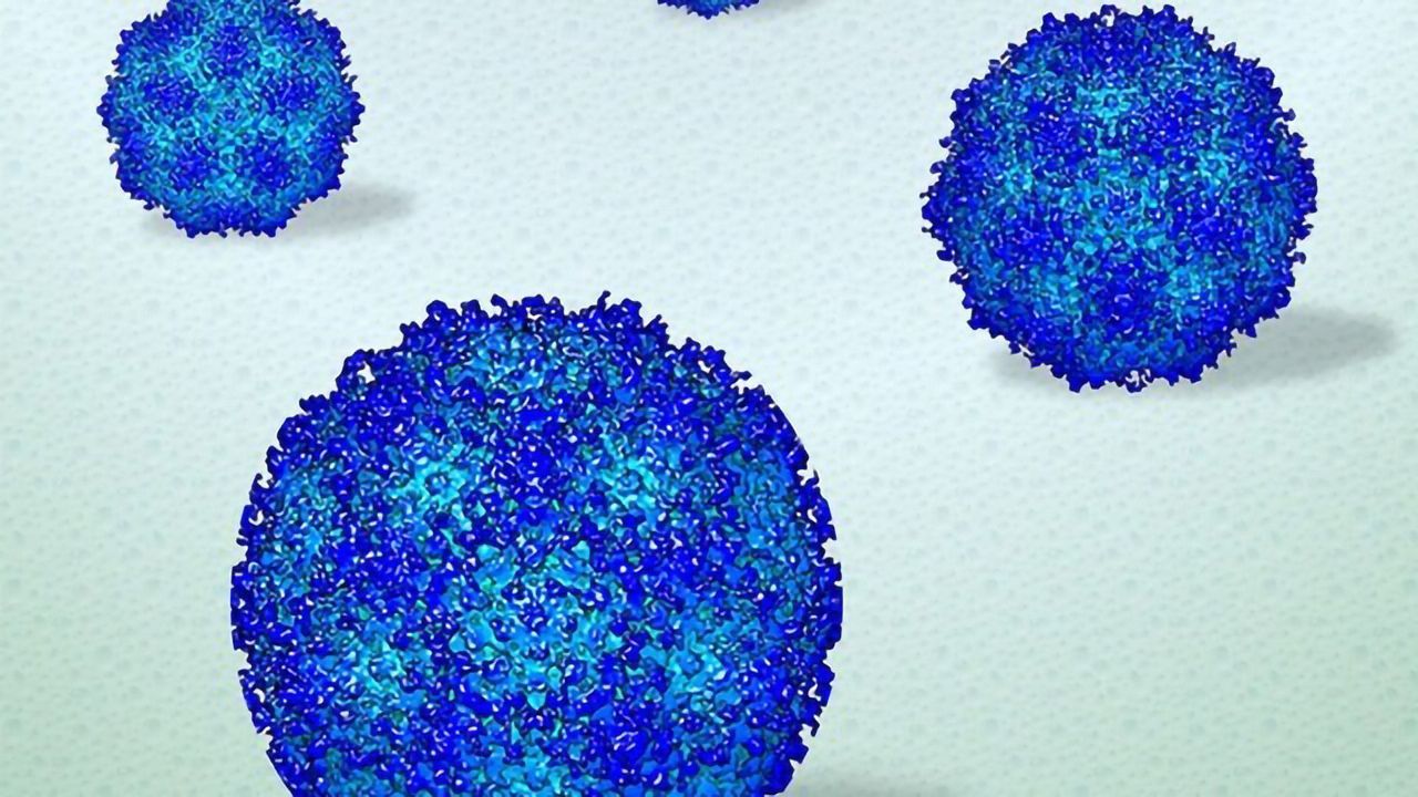 First High-Resolution View of Viruses in a Liquid Environment