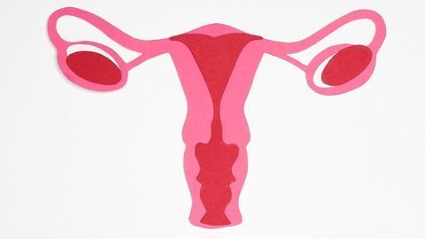 Team Identifies Molecular Mechanisms and Biomarkers in Ovarian Cancer