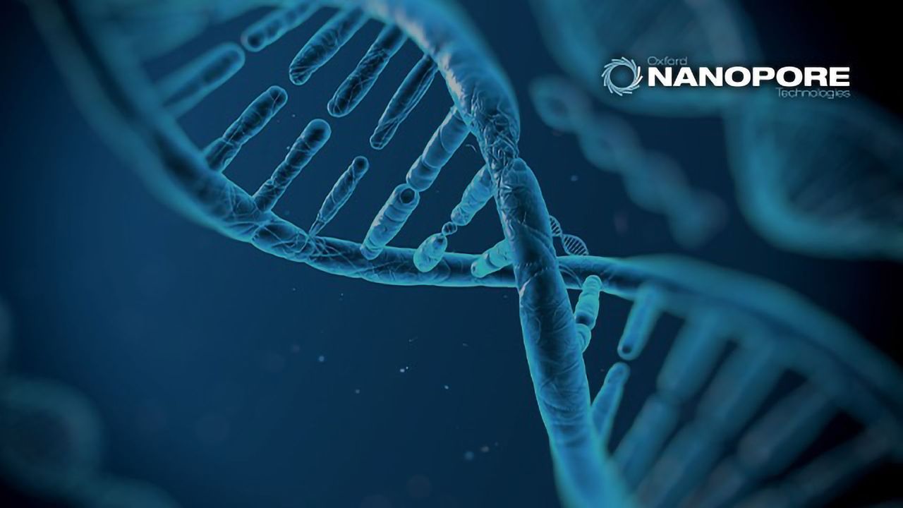 Assembly and Annotation of Reference-Quality Human Genomes