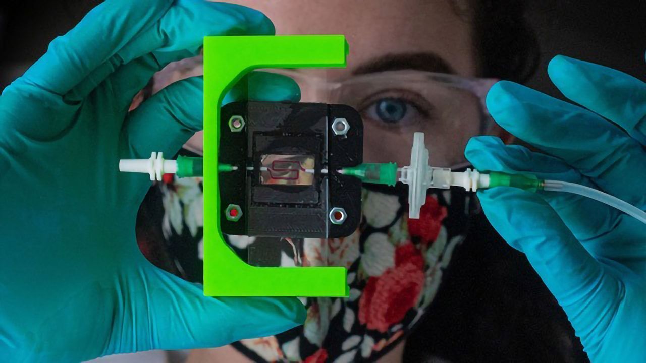 Insulin-Producing Implant Created for Type 1 Diabetes