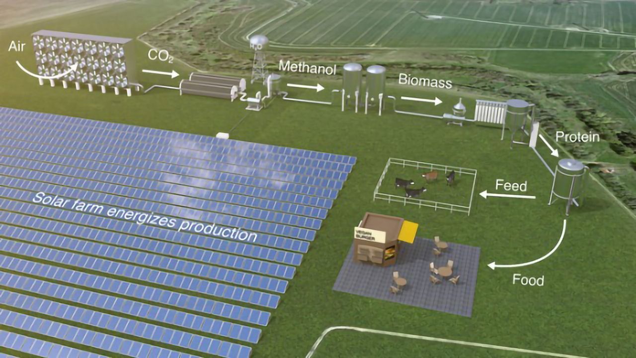 Could We Feed the World With Solar-Powered Microbes?