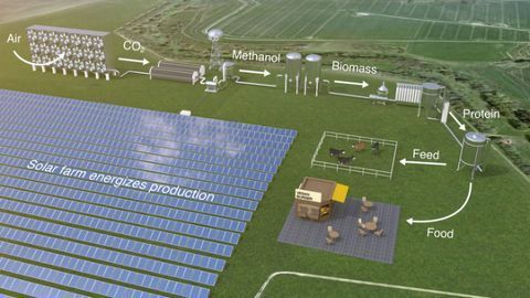 Could We Feed the World With Solar-Powered Microbes?