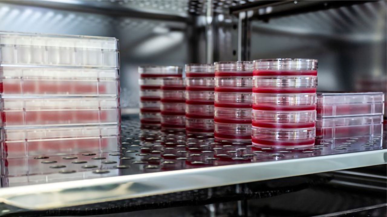 De-Risking Cell Culture: Getting Canny With Contamination