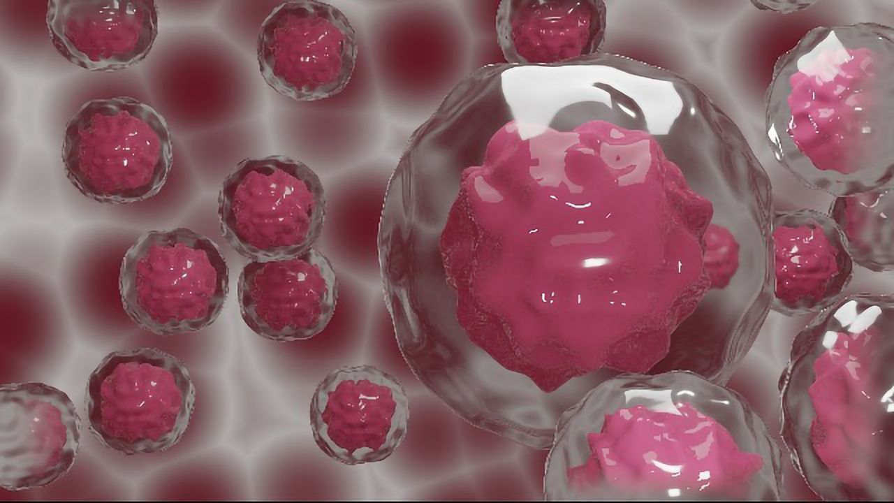 Key Stem Cell Dormancy Mechanism Discovered