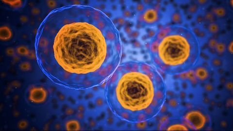 Cryptic Transcription in Mammalian Stem Cells Linked to Aging