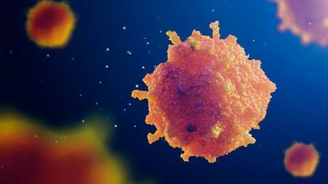 Researchers Investigate How Two Key Anticancer Drugs Work