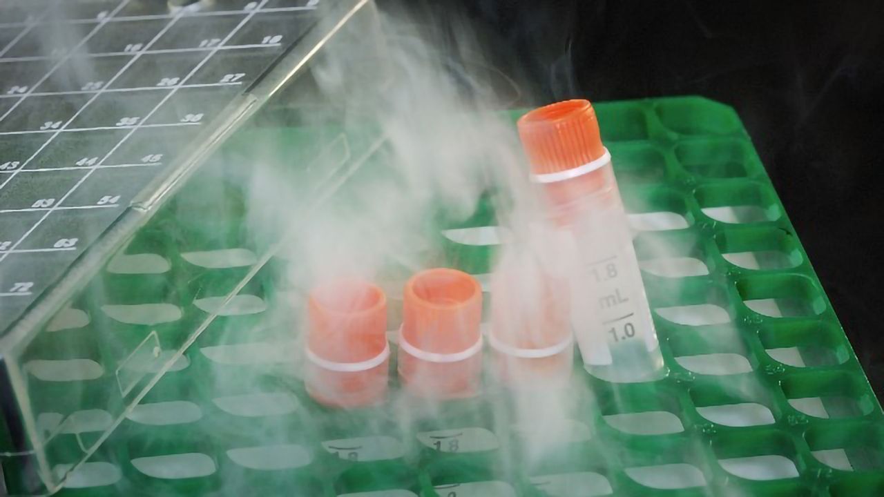 Why Hospital Biobanks Need To Supply Industry – and Why There Is a Blockage in the System