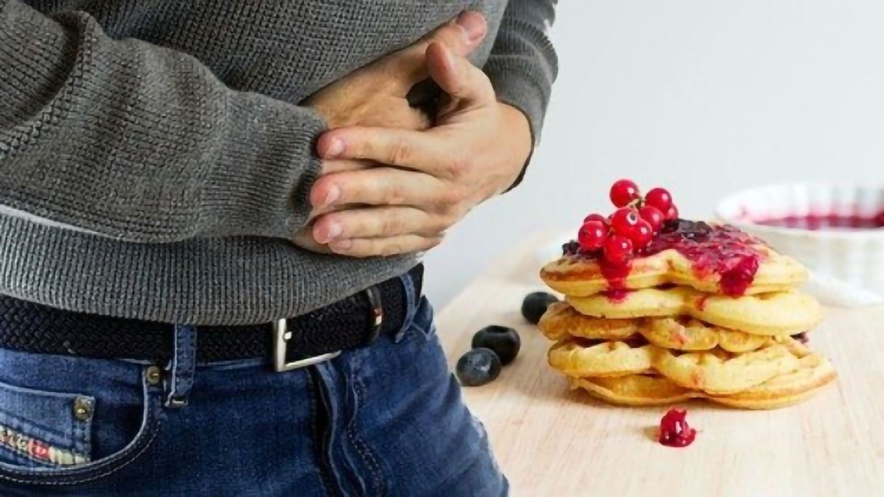 Food Digestion Dynamics Revealed by Artificial Stomach