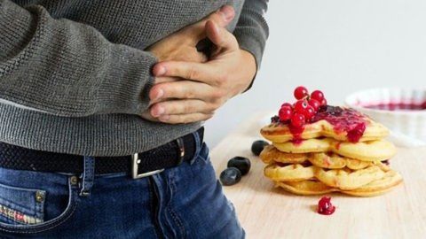 Food Digestion Dynamics Revealed by Artificial Stomach