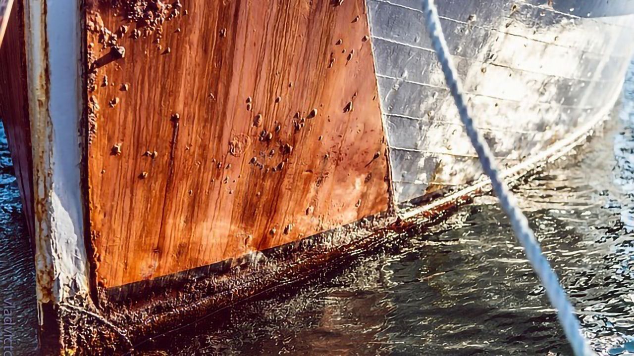 Making Shipping Greener With Hairy Ships