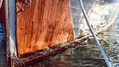 Making Shipping Greener With Hairy Ships