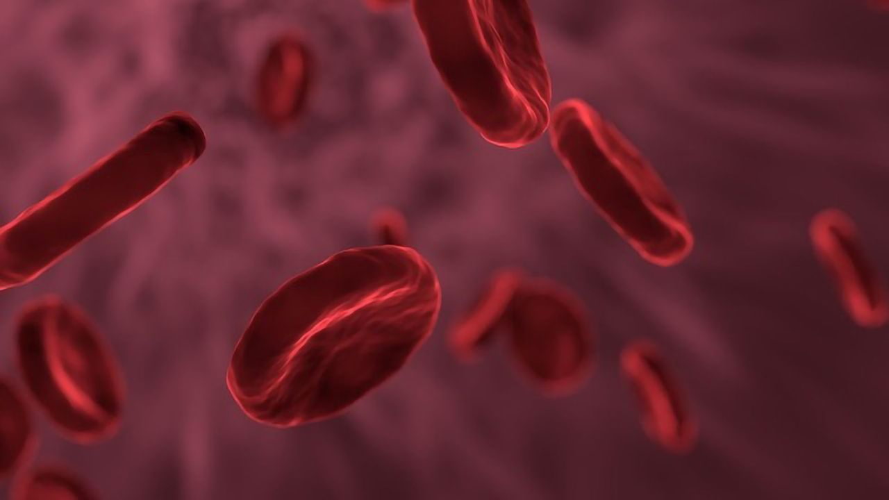 Machine Learning Blood Analysis Could Predict Schizophrenia Risk