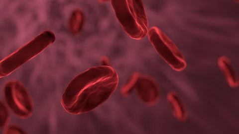 Machine Learning Blood Analysis Could Predict Schizophrenia Risk