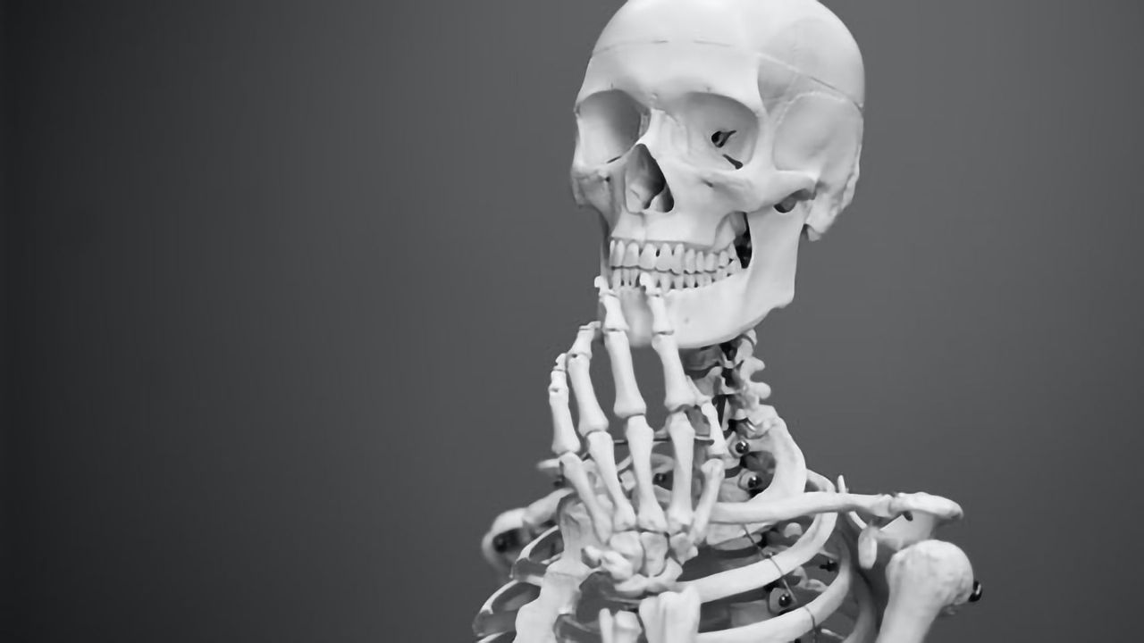Bioengineered Scaffold Guides Endogenous Bone Regeneration