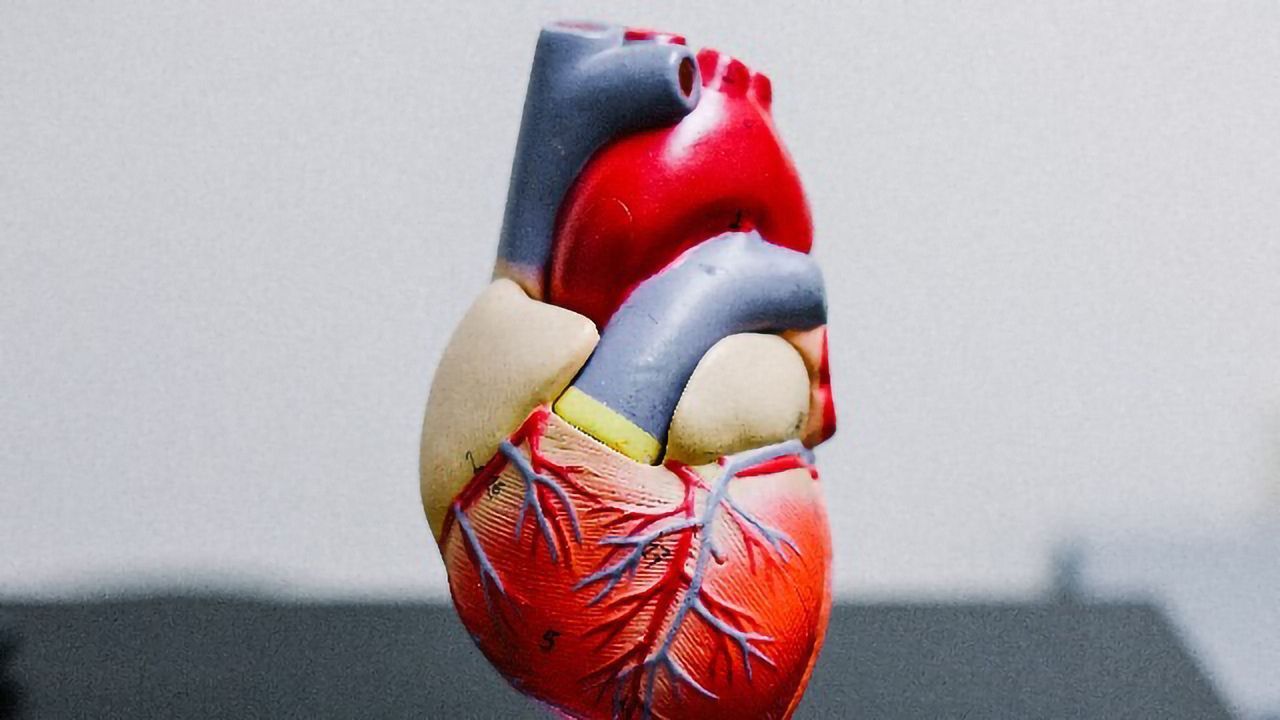 DNA Signatures Linked to Heart Disease