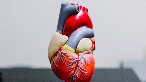 DNA Signatures Linked to Heart Disease