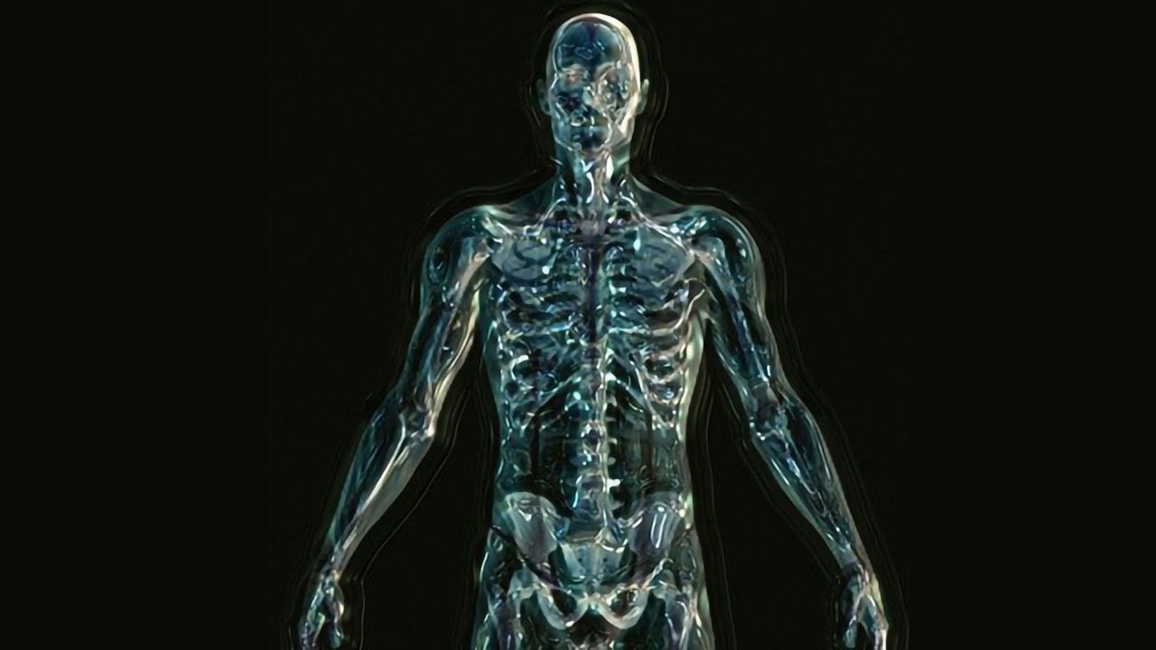Protein That Enhances Physical Fitness Reduces Lifespan