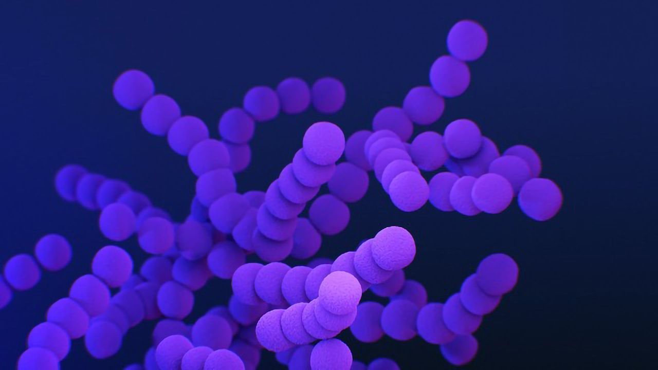 A New Way To Efficiently Edit Bacterial Genomes