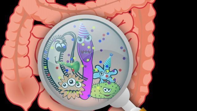 How Transmission of Microbiome Bacteria Shapes Their Evolution ...