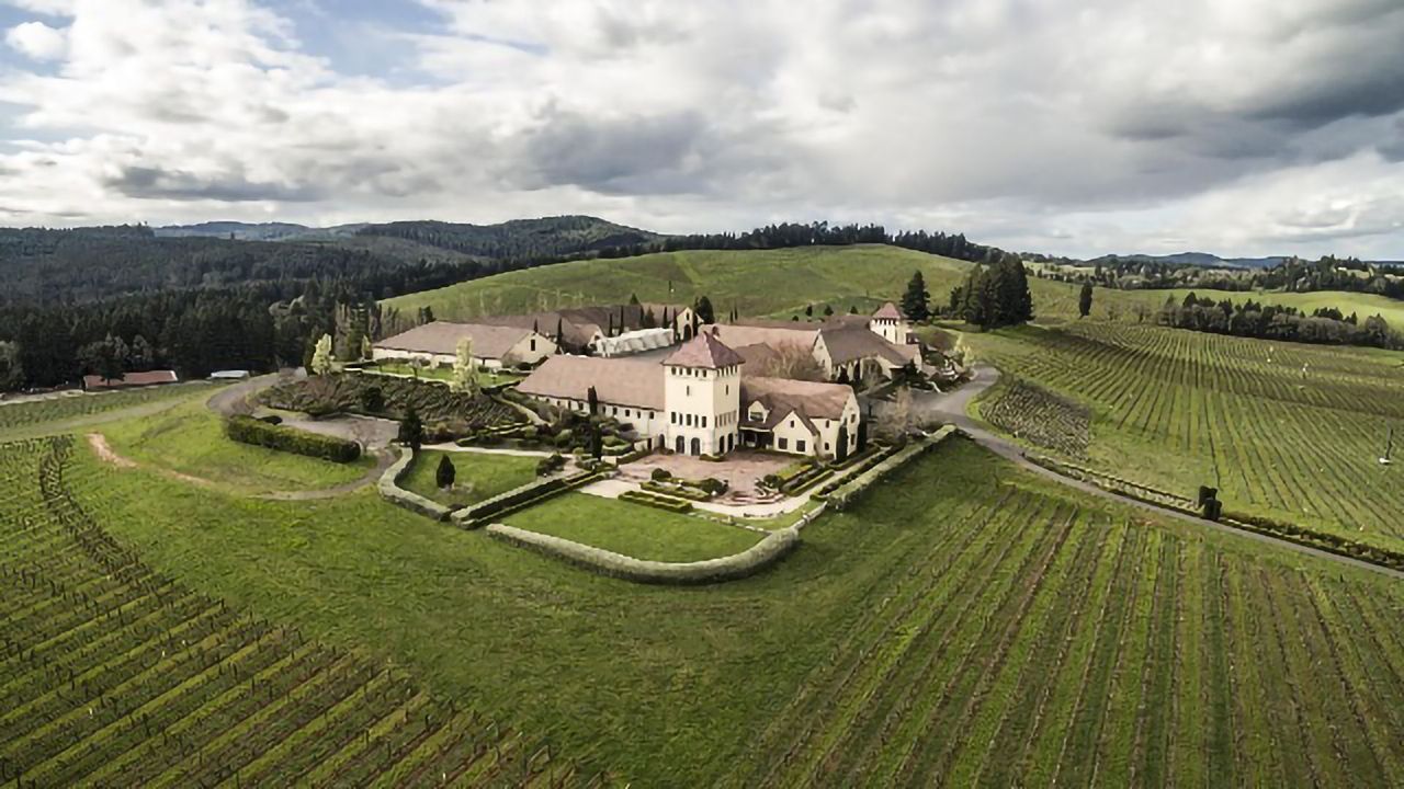 Refining the Craft of Winemaking Through Automated Analysis