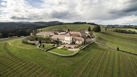 Refining the Craft of Winemaking Through Automated Analysis