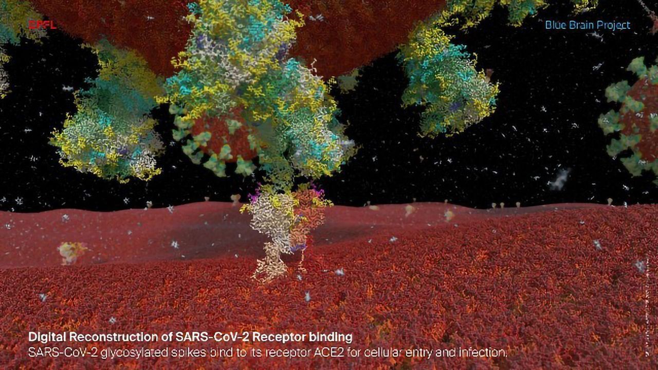 Blood Glucose Levels Hold Key to Severity of COVID-19