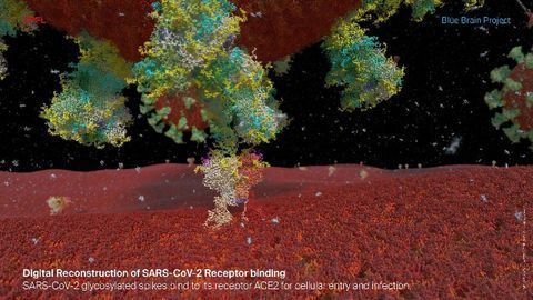 Blood Glucose Levels Hold Key to Severity of COVID-19