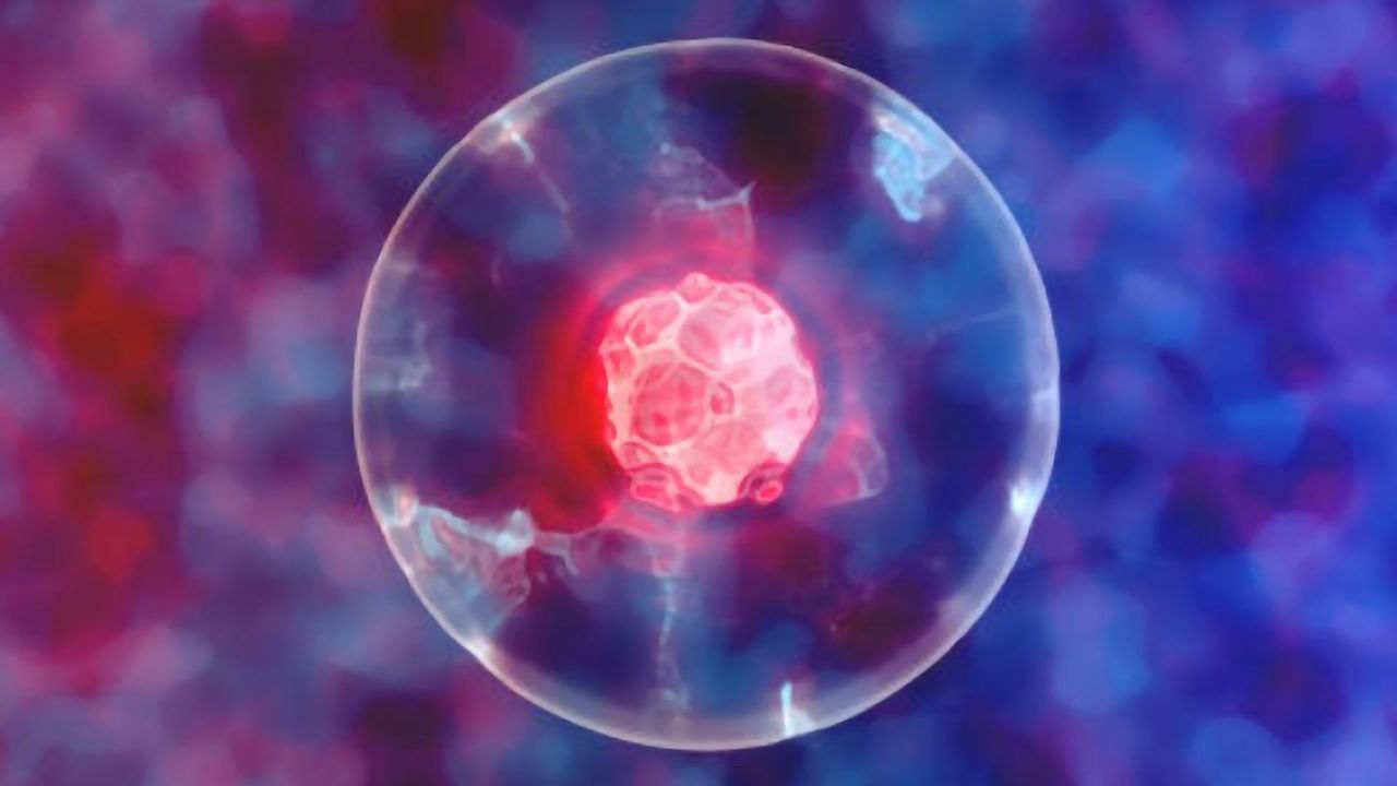 Live-Cell Kinetic Analysis of Microglial Function and Morphology