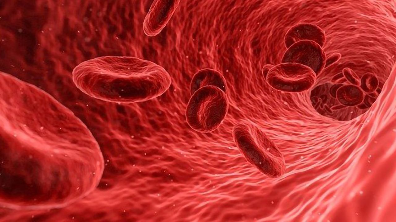 Measuring DNA Changes in Leukemia Cells Could Help To Identify High-Risk AML